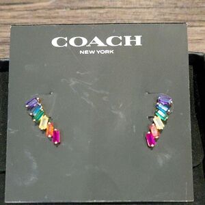 COACH Rainbow Stud Earrings